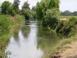 Canals
